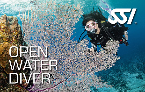open water diver big
