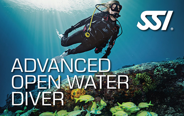 advanced open water diver big
