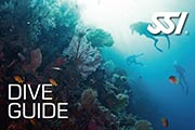dive guide sm